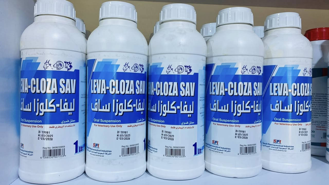 هل تطمح لزيادة إنتاجية قطيعك وضمان صحته من الأمراض؟
في عيادة الريف للخدمات البيطرية والزراعية، نؤمن أن الوقاية هي أساس الربح. لهذا وفرنا لكم نخبة من أجود الجرعات العالمية والمحلية (أردنية، هولندية، إنكليزي 'هندي وسعودية) المختارة بعناية لضمان أفضل أداء لحيواناتكم.

• تشكيلة متكاملة: نوفر لك طاردات الديدان الكبدية والمعوية والشريطية و النغفية التي تضمن نمواً سريعاً وصحة حديدية.
• جودة مضمونة: جميع الأدوية مخزنة ضمن شروط صحية مثالية 
• خبرة طبية: العيادة بإشراف الدكتورة ريم زيدان، لنقدم لك الاستشارة الصحيحة قبل الدواء.
💪 لا تترك مجالاً للمرض.. استثمر في قطيعك اليوم!
سواء كنت تملك افرادا أو قطعاناً كبيرة من الأغنام أو الأبقار، نحن وجهتك الأولى في صلاح الدين لتجهيز كافة مستلزمات الدواجن والمواشي.
📍 موقعنا: صلاح الدين - قضاء العلم - قرب سيطرة 14.
📞 للاستفسار والتواصل:
***********
***********
الريف للخدمات البيطرية.. شريككم في النجاح!
