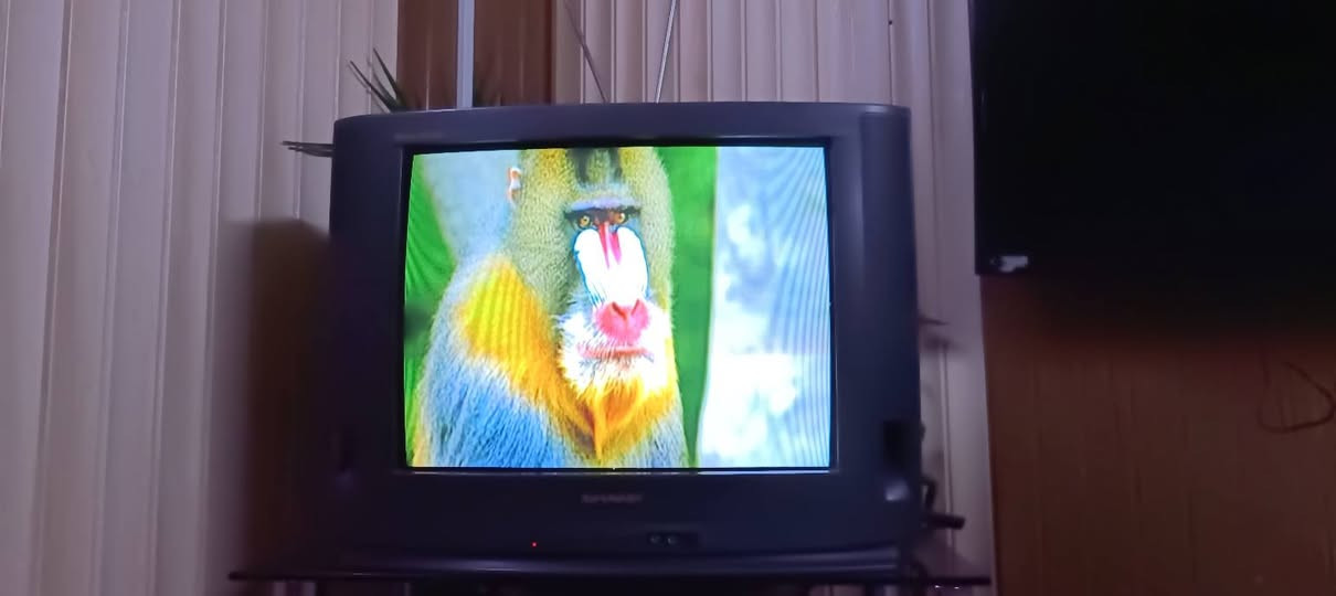 سلام عليكم شارب حجم 21 نظافة. 90 %. صورة ممتازة   سعر 35 الف.


**إذا كنت صاحب هذا الإعلان وتريد حذفه لأي سبب، رجاءا أرسل رسالة إلى الدعم الفني**