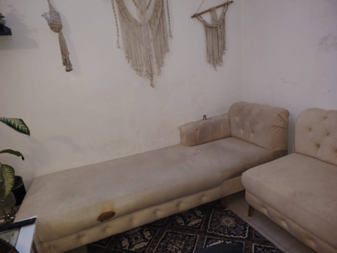 غراض للبيع مستعجلة ع بيعتهن بأسعار مناسبة


**إذا كنت صاحب هذا الإعلان وتريد حذفه لأي سبب، رجاءا أرسل رسالة إلى الدعم الفني**