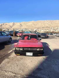 سانتانا • أوراق أصلية • بلا عيب