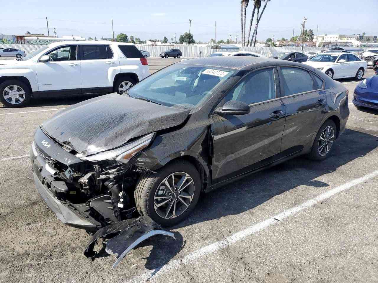 🌹 سلام عليكم 🌹💯كيا فورتي 2024/gt kia forte 2024  السياره مكفوله كفاله عامه عدا الضربه الي بأمريكا سياره اخت الزيرو ...ضربتها مرجعه علبارد.... ماشيه... 19الف كيلو... المحرك دوش 2000 المرغوب...تبريد ثلج ... كير خير من الله ....(مواصفات السياره)
١ـ تحكم ستيرن.
٢ـ توقف ذاتي.
٣ـ مصحح مسار.
٤ـ مثبت مسار.
٥ـ مثبت سرعه.
٦ـ ثلاث مودات للقياده.
٧ـ قياس ضغط هواء الاطارات.
....وبعد اكو مواصفات ما اذكرها....
سياره حادثها موجود بالسونار وموضح بصوره 👇👇👇
....حجم الويل ١٨ تايرات جدد.....
...رقمها بغداد معوقين.... اخوان مكلف بالنشر الي يريد السياره يتصل على راعيها *********** السعر 135 وبيه مجال اكرر مكلف بالنشر والسياره للبيع ما ترهم مراوس.💯🌹🌹🌹
