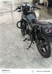 دايون اوباما • كفالة عامة • أصلي