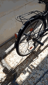 سلا عليكم بايسكل نضيف البيع السعر 75 اوبي مجال الرقم ***********
