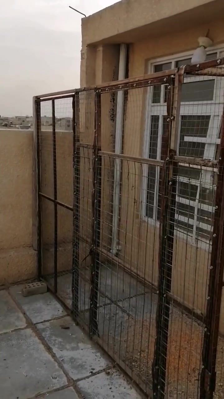 السلام عليكم متاح للبيع تفاصيل بالفيديو مكان البياع حي التراث إلىريده يتفضل خاص


**إذا كنت صاحب هذا الإعلان وتريد حذفه لأي سبب، رجاءا أرسل رسالة إلى الدعم الفني**