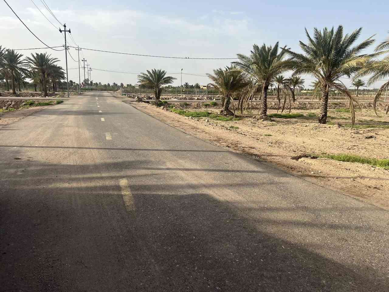 عروضنا ماتخلص    الموقع يبعد 600 متر عن طريق حله نجف  كله تبليط  ***********
