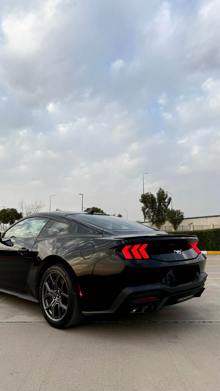Ford Mustang Performance Package 2024
الي عشاق التميز والمختلف 
المواصفات 
فچوج (Brembo) الامامي 6بستم والخلفي 4بستم
نضام التعليق كامل معدل : springs Heavy-duty front  
الكير العادي :6سرعات مع ميزه  Match Rev
أوتوماتيكي بـ 10 سرعات
تشغيل عن بعد مع ميزه الريموت اكتف Remote Rev
5 انضمه اكزوز  بلادي دبات كبار صوت طرب 
سايد بريك الاكتروني Drift Brake 
6وضعيات قياده 
داخل السياره جلد لون جملي مميز 
شاشه متصله لتحكم 
شحن وايرلس
محرك السياره 2.3 تيربو بقوه 340حصان
السياره برمجه وتسارع مخيف بلادي يجي فقط ع نسخه البيرفورمانس السياره تختلف عن شكو EcoBoostبل سوك وبيه بعد هواي مواصفات 
حادث السياره جملغ سكن +نص باب السكن السياره جديده ومابيه مصرف جاهزه من كل النواحي 
الشراي يتفضل خاص *********** أربيل, العراق
