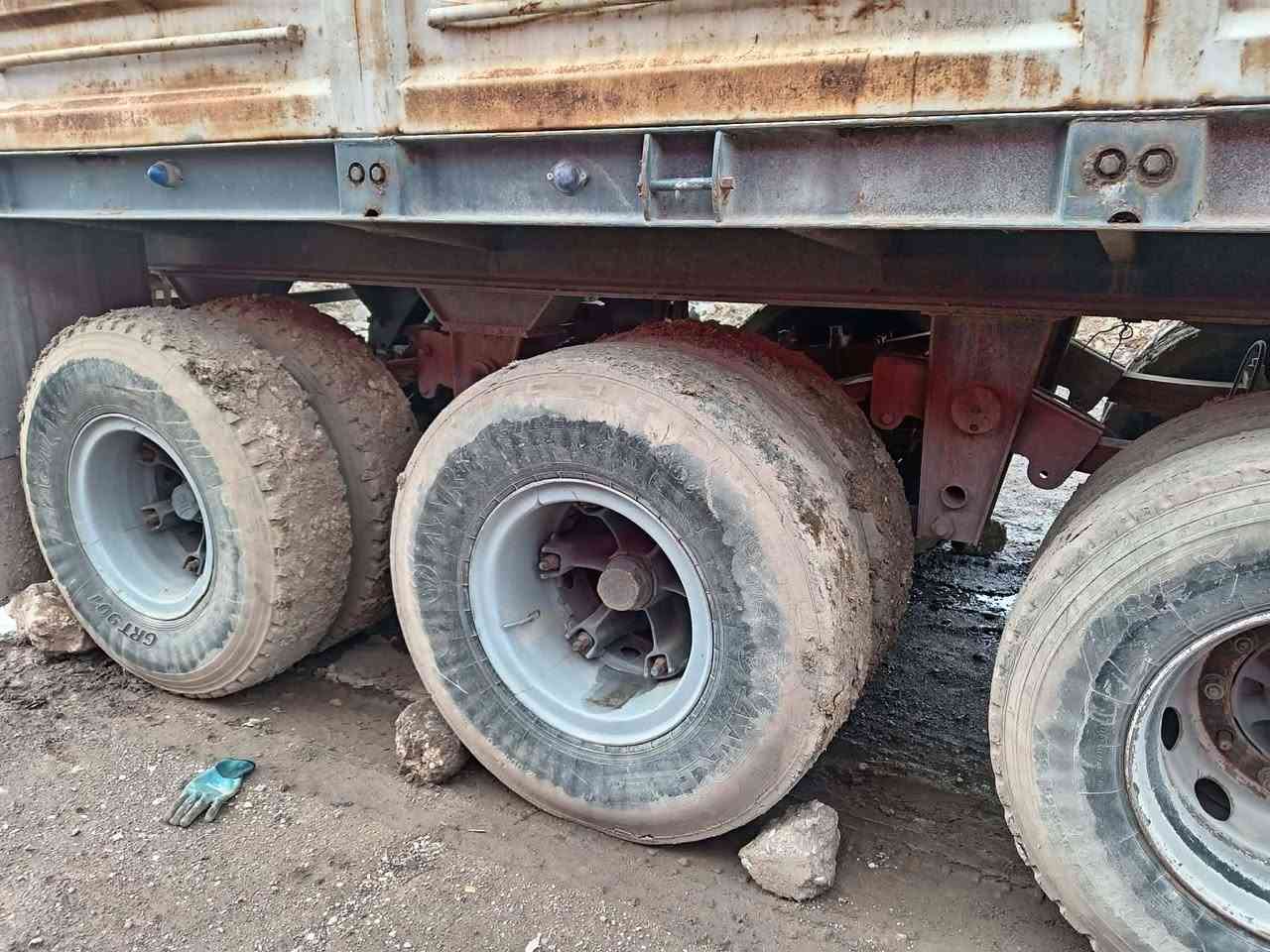 عربانه فصال رمادي
12:30 الطول ارتفاع 85 ارتفاع 
***********
