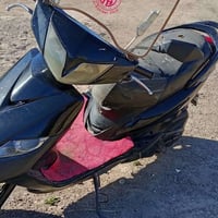 ماكس ثعلب • نضيفه • اوراق