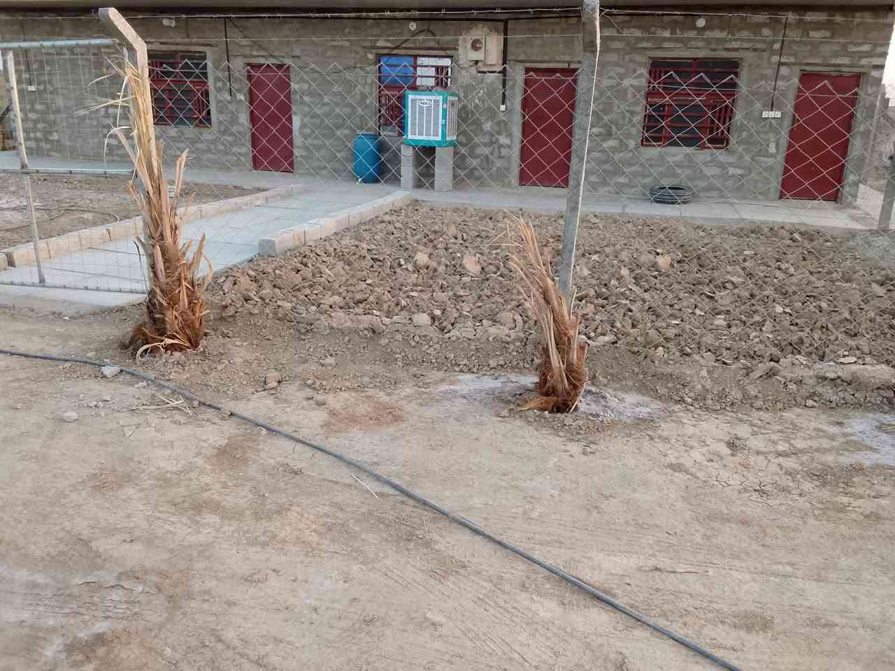 ارض زراعي سند ٢٥  ه دوانم و6  فيها ماء وكهرباء وحقل وبيت منطقه حسينيه مال دغاره***********.  البيع
