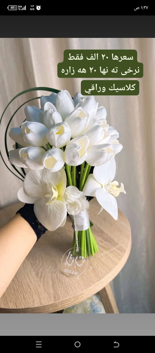 سلام علیکم
متوفر کل الاسعار حسب الطلب 🌹متوفر ارقى واجمل موديلات 💐بأسعار تنافسية


**إذا كنت صاحب هذا الإعلان وتريد حذفه لأي سبب، رجاءا أرسل رسالة إلى الدعم الفني**