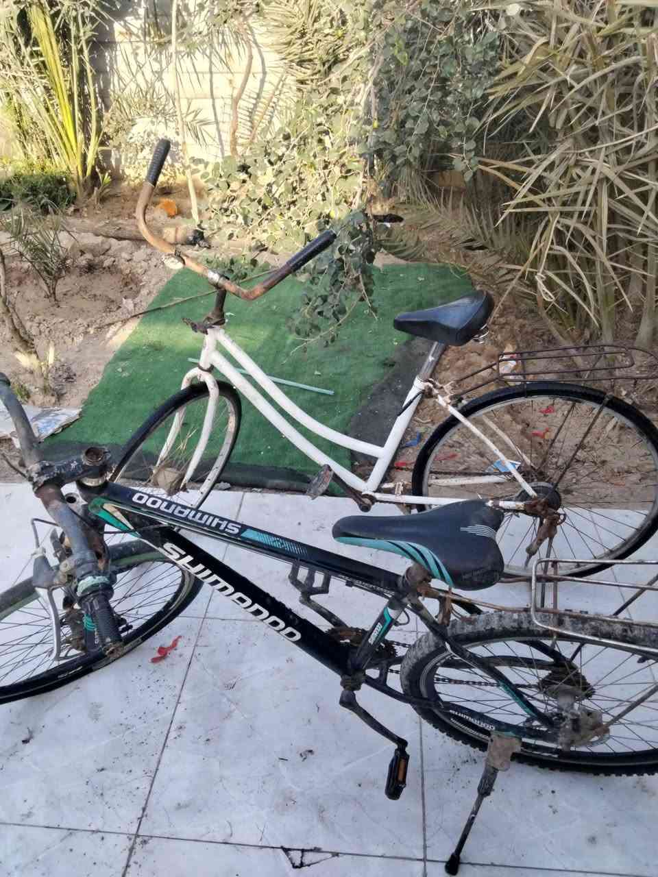 للبيع قيم وأخذ العنوان/البصره ابو الخصيب


**إذا كنت صاحب هذا الإعلان وتريد حذفه لأي سبب، رجاءا أرسل رسالة إلى الدعم الفني**