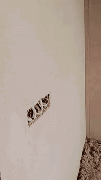 گادر جص وبورگ لبخ سمنت نثر تطعيم وجهيات تصفير مصاطر ***********
