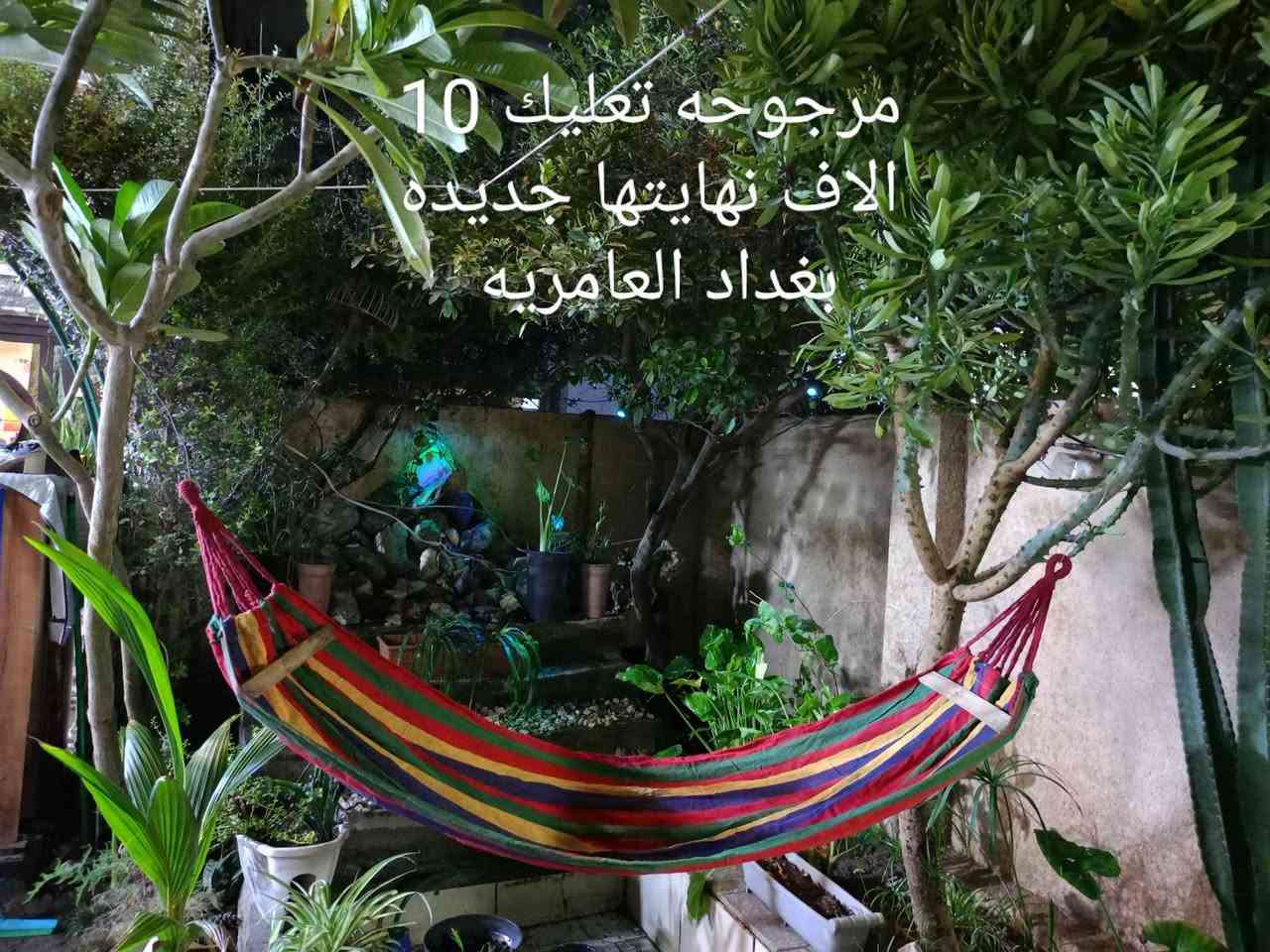 قسم جديد وقسم مستعمل بغداد العامريه بغداد, العراق


**إذا كنت صاحب هذا الإعلان وتريد حذفه لأي سبب، رجاءا أرسل رسالة إلى الدعم الفني**