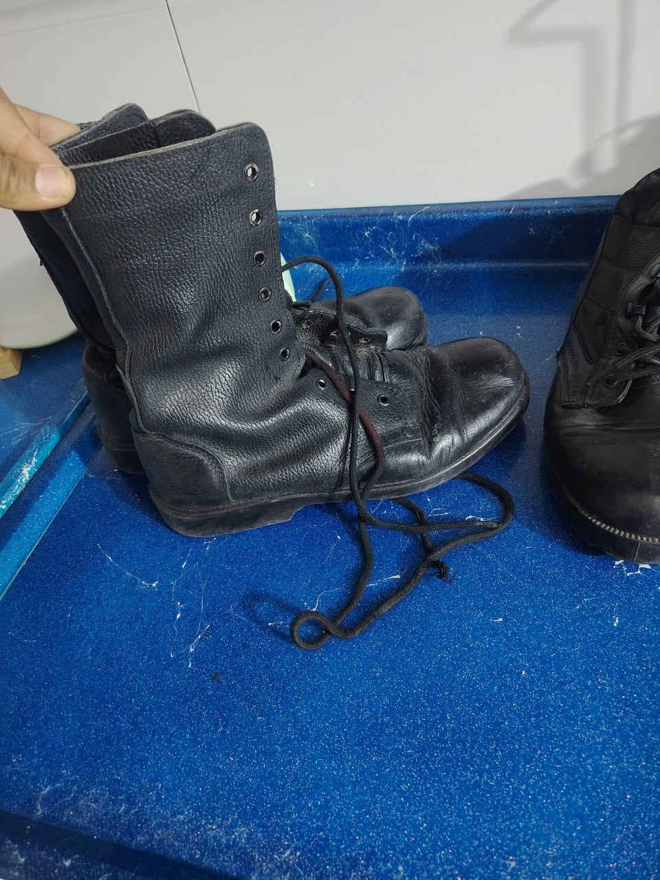 بصاطيل للبيع عدد ٢ قياس ٤٣ باله سعر الواحد ب٢٥ الف اي ضرر مابي مكلف بلنشر تواصل ***********
