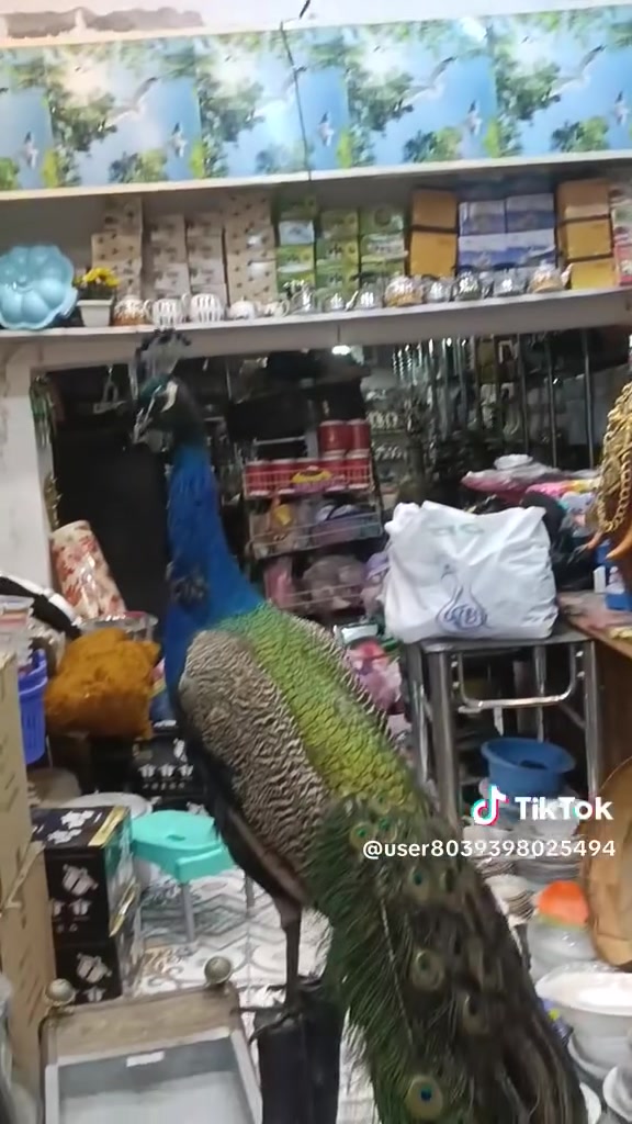 السلام عليكم ورحمة الله وبركاته طبعا لي حب يراسل عل الوتساب ***********
