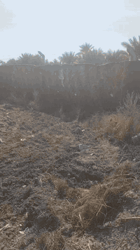 ٢ دونم • أرض زراعية • طريق حله نجف