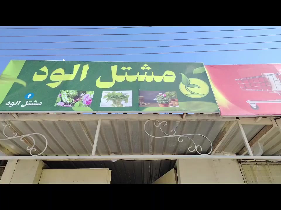 الوجيهية شارع الأطباء مجاور الربح البسيط


**إذا كنت صاحب هذا الإعلان وتريد حذفه لأي سبب، رجاءا أرسل رسالة إلى الدعم الفني**