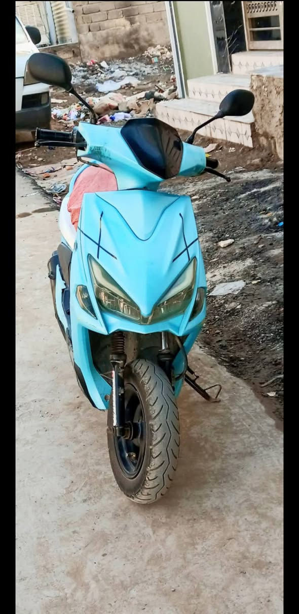 مراوس ب كير التفاصيل داخل الصور
