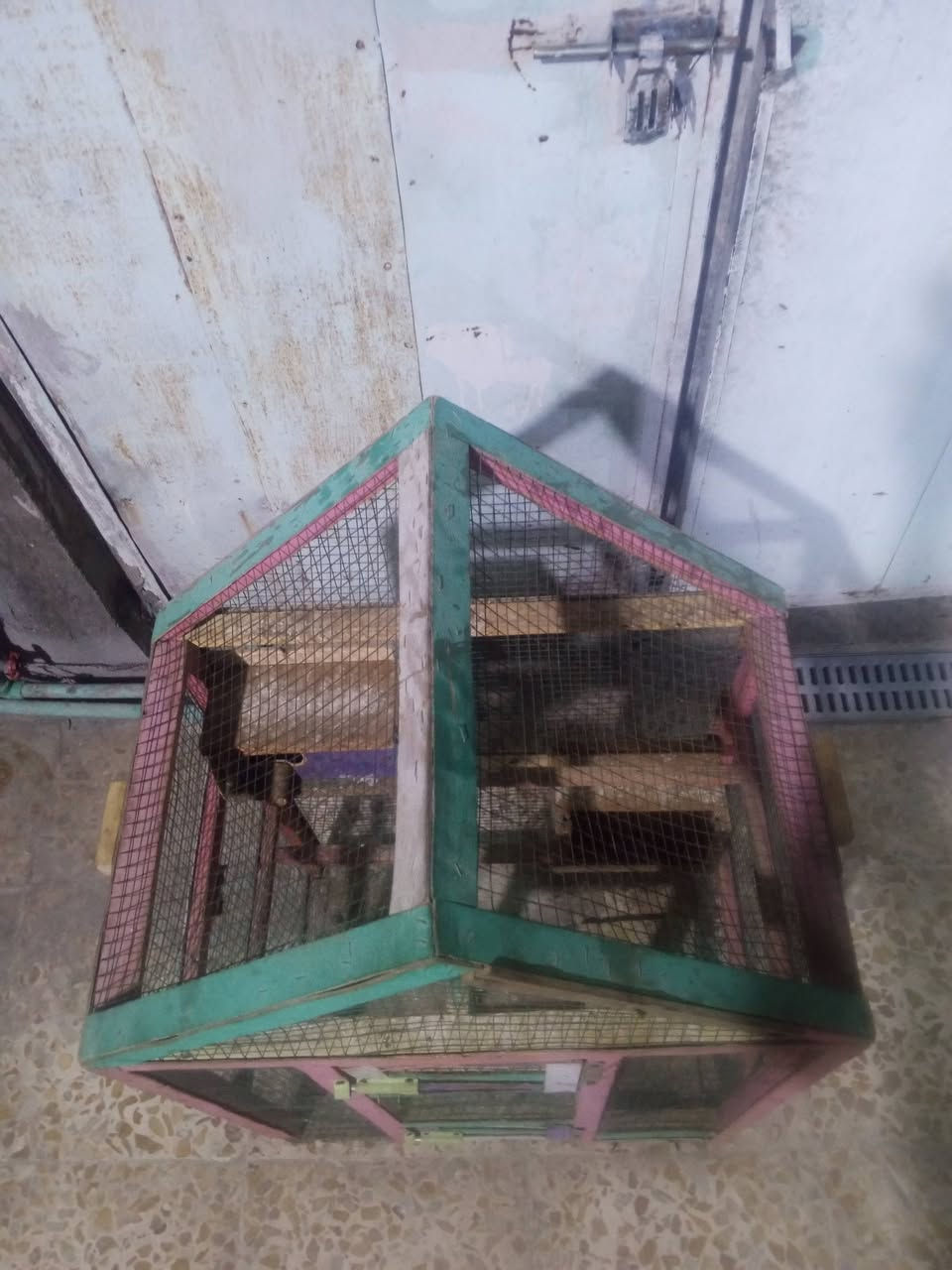 غراض للبيع كلمن وسعره نفط للبيع 50 لتر الاتصال ***********
