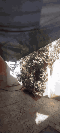 🏡 بيت للبيع – شارع المطار القديم / بداية الشارع – قرب مدرسة الجنائن / ثاني فرع
المساحة: 100 متر
السعر: 30 مليون – قابل للتفاوض بعد المعاينة
المواصفات:
غرفة نوم: 5 × 3.5
صالة
استقبال: 4 × 3
مطبخ: 4 × 3
حمام وتواليت داخلي + خارجي
تفاصيل البناء:
الأساس: صب كونكريت مسلح مع بتلو
السقف: صب كونكريت
البناء ببلوك الطفيلي
التفاصيل موضّحة بالصور والفيديو
للتواصل والاستفسار:
📞 ***********
