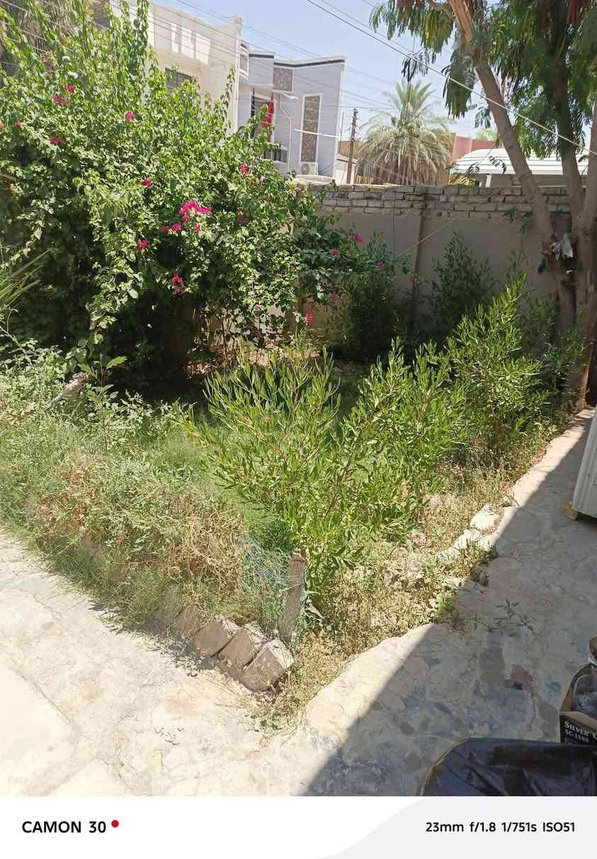 بيت لليجار حي الفرات مقبل كليت الطب قرب متوسطى الاقصى  قريب على المستوصف مدارس ابتدائيه ومتوسطه يتكون غرفه وبراني ومطبخ وكندور وكراج وحديقه وبي ترك 80متر  المساحه 200متر المنطقه كامله من كلشي السعر 350 الف شامل ماء وكهرباء  للستفسار اكثر ***********
