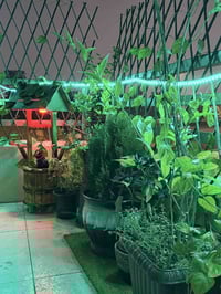 للبيع متوازي على بيعتها شقة مساحة 100 شرقي موثثه طابق خامس كاش مصفره ا...