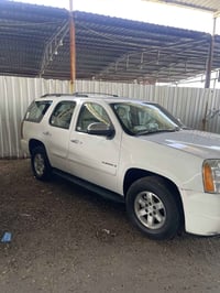 يوكون • ٢٠٠٩ • كفالة عامة