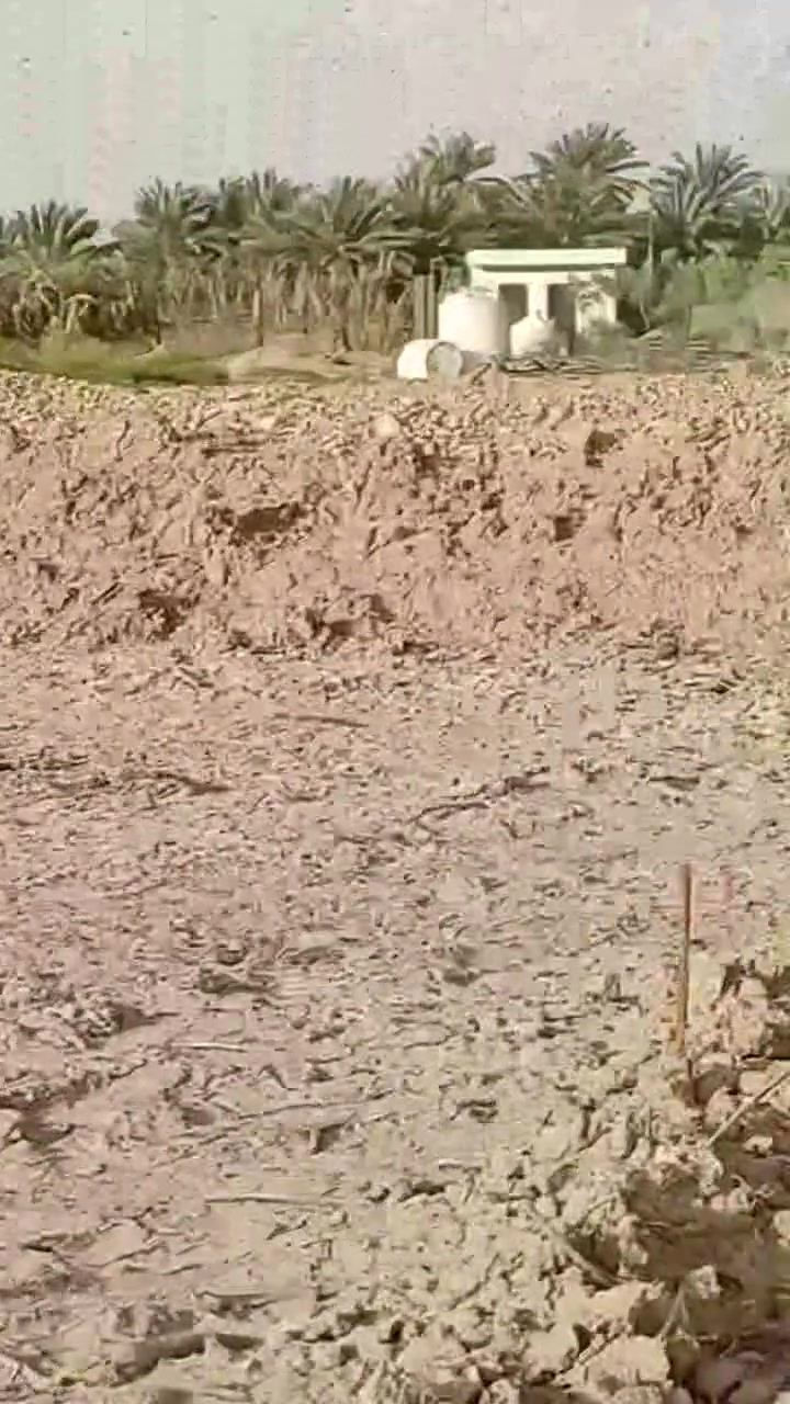 قطعه ارض للبيع حي الزهور مقابل المعارض تبعد عن الشارع العام ١٠٠م طابو زراعي سند ٢٥تحويل بالاسم مباشر مساحه ٢٥٠متر كافه الخدمات ركن شارعين بابل ناحيه الشوملي السعر مناسب للاتصال ‏‪0771 935 0182‬‏

