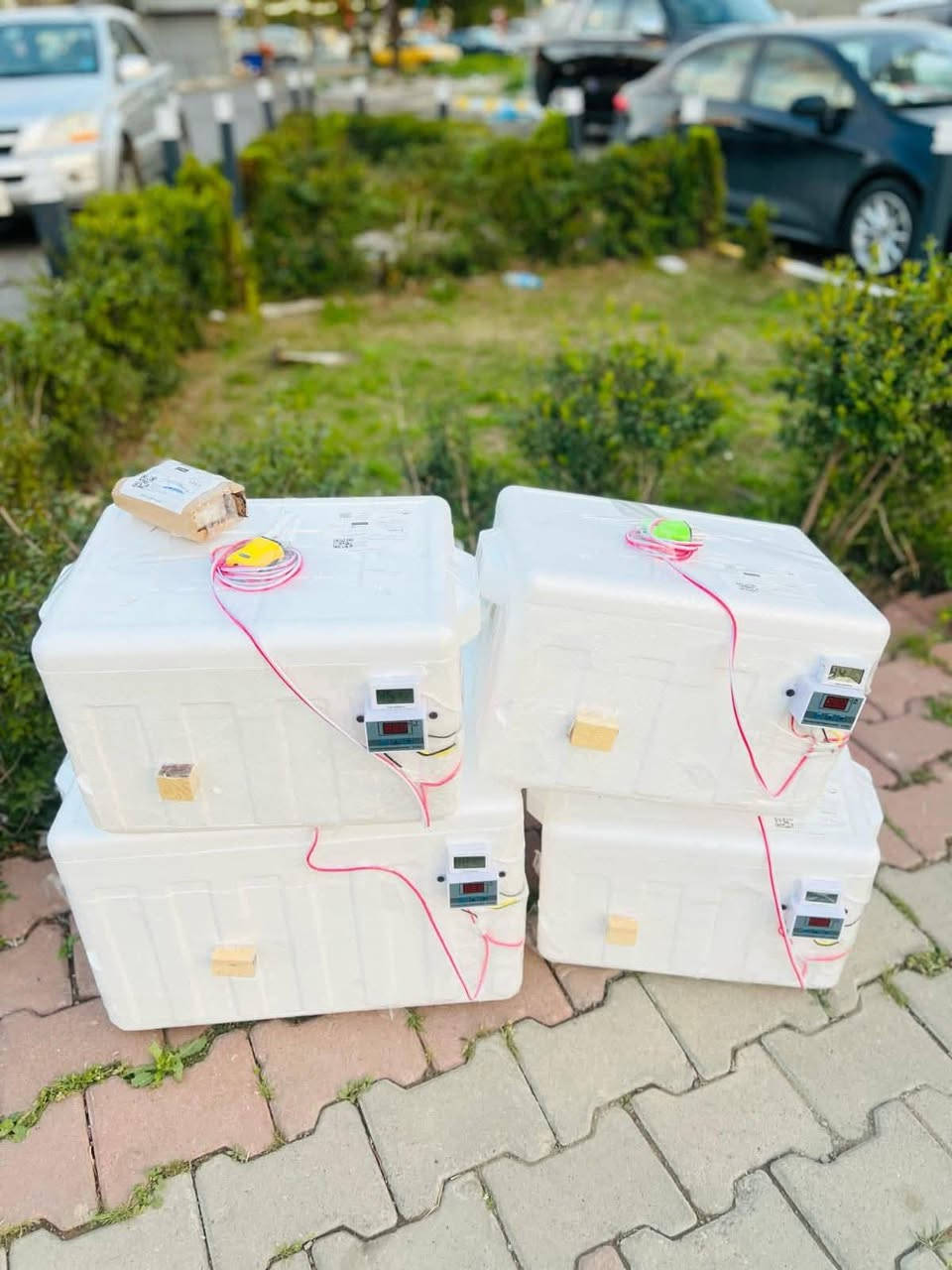 السلام عليكم متوفر تصنيع فقاسات فلين وبسعر مناسب مكان بصره مدينة الهوير يوجد توصيل الي يريد يحجز والفقاسه شرط تفقس واي حجم الي تريده موجود


**إذا كنت صاحب هذا الإعلان وتريد حذفه لأي سبب، رجاءا أرسل رسالة إلى الدعم الفني**