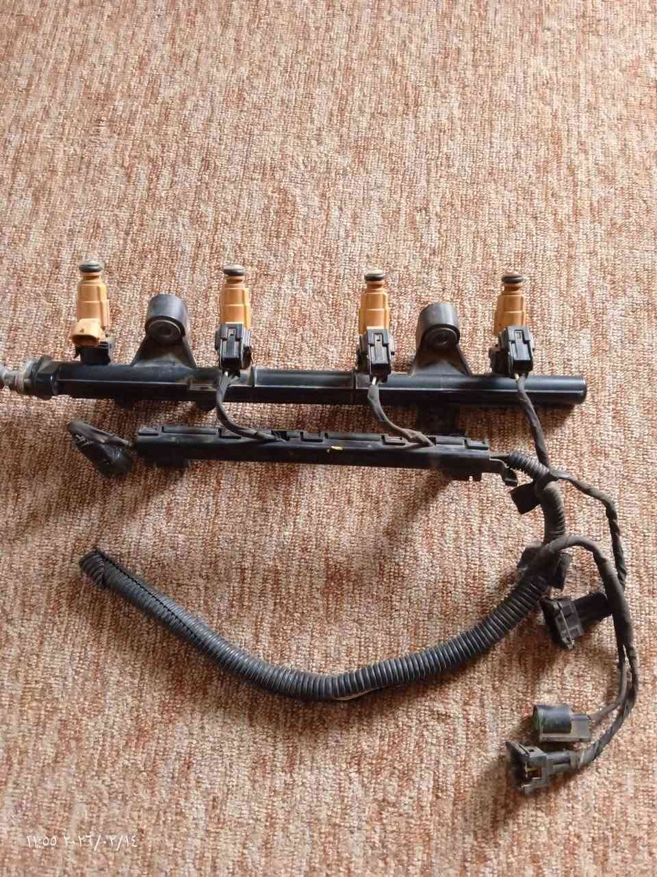 تخم نوزلات اصلي حاويه السعر 50.. ***********
