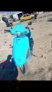 فراشه كرستال • فحل • ما بيه نقص