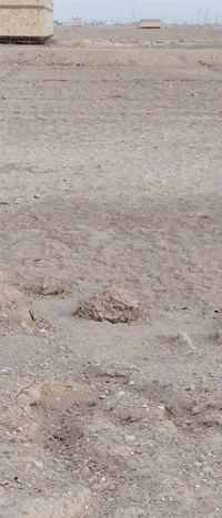 الشعايبة الشرقية • ٢٥٠م • أرض