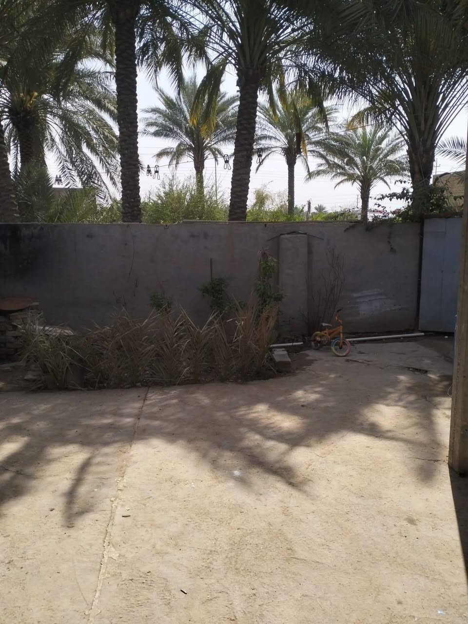 بيت للبيع طابق واحد بناء حديث 
مساحه 250 م
يتكون من  استقبال +صاله+ منور +مطبخ + غرف عدد 2 +مجمع صحيات خارجيه و داخليه  
مع مساحة حديقة امامة وفضلة جانبية   
كافه الخدمات متوفره 
يبعد عن الامام الحسين ع  (10) دقايق
على طريق الزوار
يصلح حسينيه يصلح سكن
#العنوان كربلاء مقابيل المعهد التقني 

قرب مشروع العتبة وقرب مدارس بنين وبنات لكافة المراحل 
مشروع ماء ارو للعتبة مجاني 
اسواق بكافة انواعها وبقالة 
عمود 336

  *********** وسام ال كميش
*********** مختار الاسدي الاسدي 
سلمان النصراوي.
سما الفردوس للعقار
