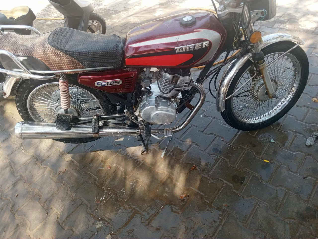 تايكر موديل 2020اوراق ستنساخ حلاوية
للبيع مكاني نجف الاشرف ناحية الحيرة

500وبيهه مجال


**إذا كنت صاحب هذا الإعلان وتريد حذفه لأي سبب، رجاءا أرسل رسالة إلى الدعم الفني**