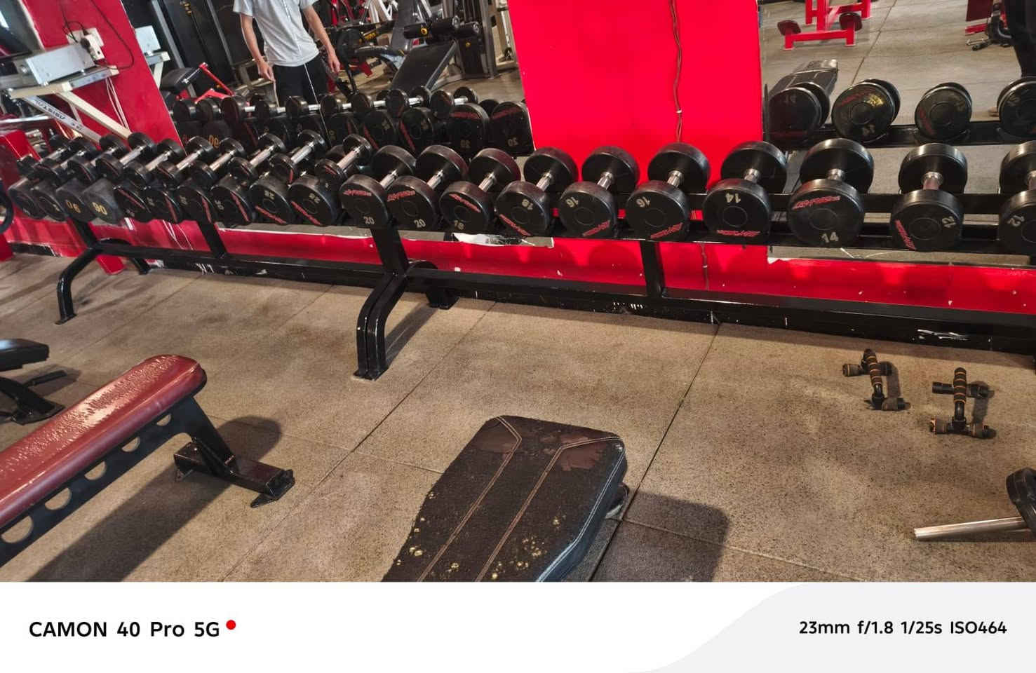 قاعه كامله للبيع او مراوس سياره مابيها اي نقص العنوان بغداد ***********
1.بنج همر اعلى
٢. بنج همر اسفل
٣. بنج جهاز مستوي جالس
٤. بنج جهاز اعلى
٥. جمع جهاز اعلى
٦. جمع فراشه
٧. سحب همر من الأعلى
٨. سحب همر متكأ الصدر
٩.سحب همر من الاسفل
١٠.سحب T حر
١١. سحب تي  متكأ الصدر
١٢. باك ارج
١٣.عقله مع مساعد وبرليل
١٤. ضغط جهاز اكتاف
١٥. شراكس هز اكتاف
١٦. سحب بكره ارضي
١٧.سحب بكره جالس أمامي خلفي
١٨. بكره متقابل
١٩. كيل لاري
٢٠َ. كيل همر مائل
٢١.كولف جالس
٢٢. كولف مائل
٢٣. هاك باك
٢٤.دفع ماكنه
٢٥. كيل سيقان خلفي جالس
٢٦. كيل سيقان خلفي نائم
٢٧. كيل سيقان أمامي
٢٨. قاعده دبني
٢٩. نشر جهاز أكتاف للجانب
٣٠.سمث
٣١. شفتات سيت عدل وz
٣٢. لف جذع
٣٣. جهاز معده
٣٤َ.ساعد
٣٥.مصاطب بنج سيت عدد ٣
٣٦. مصاطب متحركه عدد ٧
٣٧.شفتات صغار عدد ٢
٣٨ شفتات كبار عدد٤
٣٩. سيت دمبلص مع حماله
٤٠. أقراص
