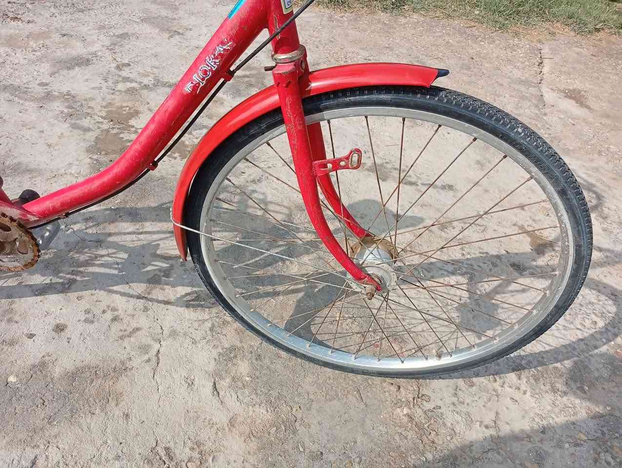 سلام عليكم بايسكل
لبيع سفسار خاص


**إذا كنت صاحب هذا الإعلان وتريد حذفه لأي سبب، رجاءا أرسل رسالة إلى الدعم الفني**