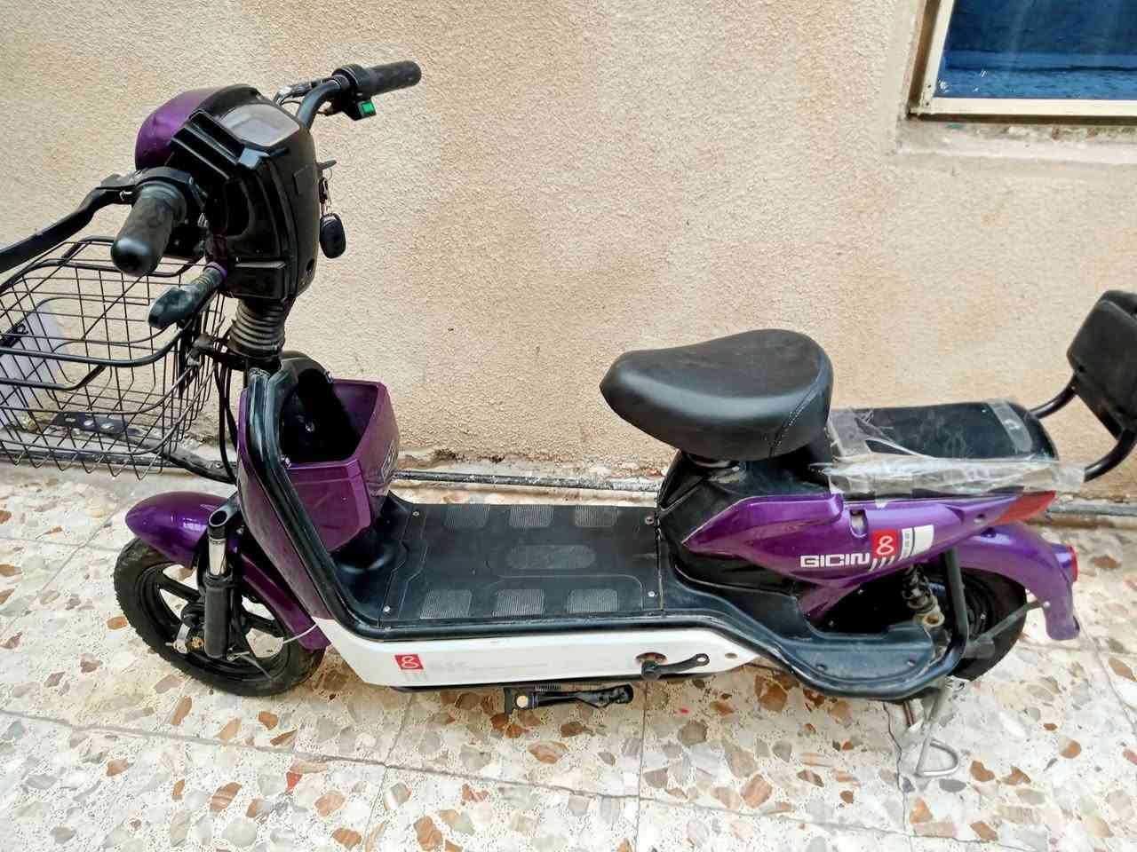 السلام عليكم دراجه للبيع السعر 300 وبيه مجال الاستفسار على مازنجر


**إذا كنت صاحب هذا الإعلان وتريد حذفه لأي سبب، رجاءا أرسل رسالة إلى الدعم الفني**