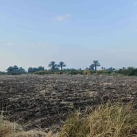 الدجيل • ٤ ونص دونم • مسيّجة