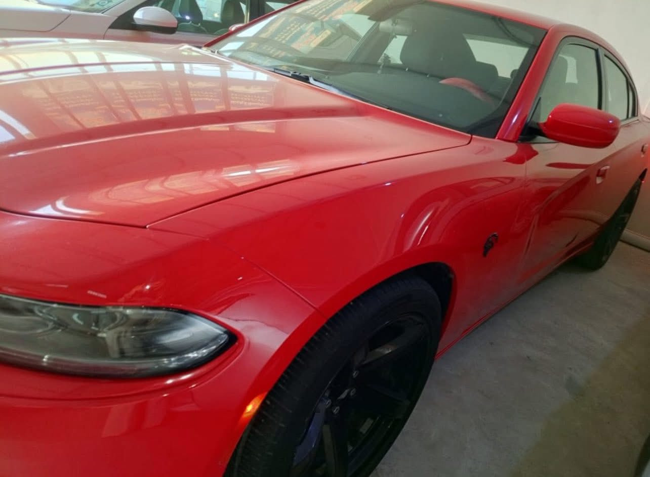 جارجر 2019 SxTوارد كندي  دخول كلين مع تقرير كارفاكس 
اللون احمر طماطة
 معروفة مواصفاتها تشغيل عن بعد شفتات ستيرت كشن كهرباء حساسات خلفية شاشة وسط كامرة خلفية كشنات مخمل ...

 وبيهة طخة هنا بالعراق بحافة البنيد ونصبغت موضح بالسونار جميع الايرباكات سليمة بدون تبديل او فتح حتى الدعاميات بدون تبديل 
ماشية 68 الف مايل
قليل اطلع بيهة من جتي من امريكا ماشي يمكن 40 الف  كل شي بيهة على وضع الشركة بدون برمجة او تحديث 
رقم سليمانية السنويه نافذة من الشهر 8(ساقطة يعني )
مكان السيارة ديالى بعقوبة 
السعر 250 وبيهة مجال للشراي 

***********
