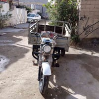 ستوتة • وراق محترقه • مجال قليل