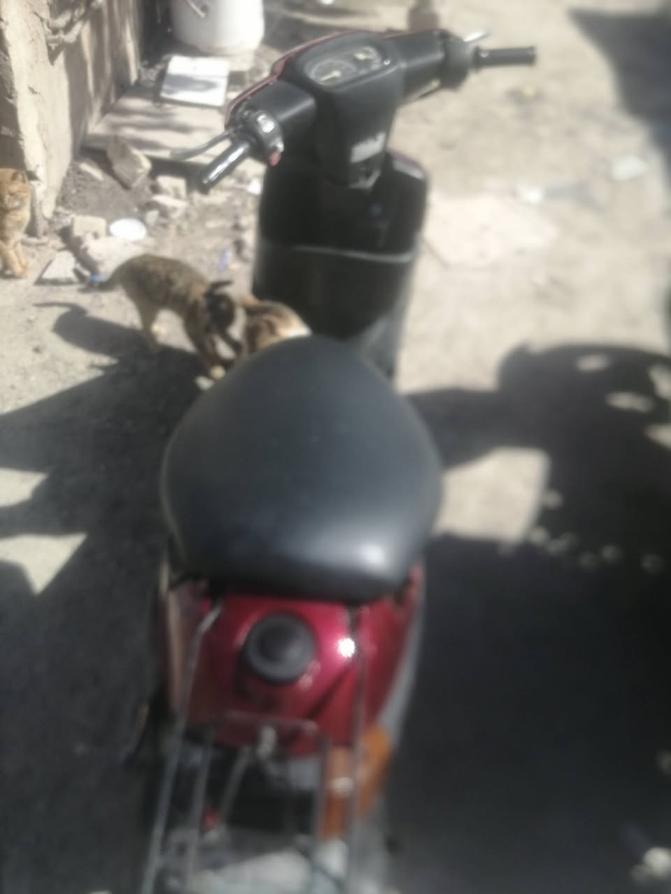 بطه كامله كهربائيات شغاله نقص بس باتري مكاني شعله جكوك 260بيهة مجال ***********
