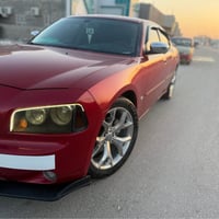 مديل 6 • كفاله عامه • نص باب صبغ