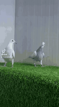 متاح                                                                  ...