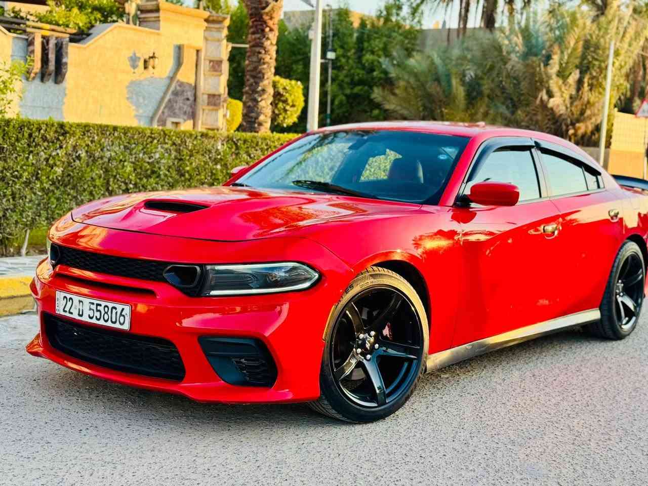 سلام عليكم ؟ ب عاافيه ع ياخذه
جارجر  2017 هزه جديده ورقم جديد 

ب اسمي 

السعر : 168$ وبيه مجااال

اتصال :  ***********

سياره حادثه فقط البنيد ؟ مرفوق سونرين 

لون احمر مميز 🍅

المحرك :-  5700 🚀✈️

تو ويل 

المواصفات :-  فول من عدا الفتحه 

بصمه 

شفتات ستيرن

شاشه كبير 

سماعه ALPiNE

كشن كهرباي 

بصمة ابواب+ صندوق

تبريد قطعتين

كشن حضن بلادي 

ستيرن هيتر

مرايات هيتر 

كاميرة دواره

Light Led+ بيلادي زنون

حساس امامي خلفي

 

بغداد

مكان السيارة بغداد 

السيارة رقم اربيل بأسمي تريد تحويل مباشر
