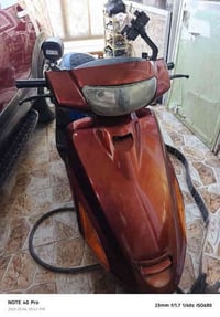 فراشه فورتي • ١٤٠ سي سي • فلكه مصطفئ جواد