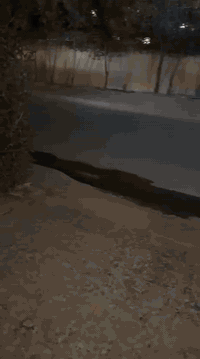 (مشتمل )150متر)
منطقة📍
حي الجهاد (المخابرات)
#يحتوي على
-غرف نوم عدد (3 ) 

-ستقبال🛋 جبير 
-مطبخ🍴🍷
-حمام تواليت🚽 فوك وجوه 
حديقه جبيره و طرمه جبيره
لايجار. 750 قفل

مكتب عيون بغداد العقار 
العنوان حي الجهاد شارع التجاري قرب طرشي صباح الخير 
الاستفسار اتصل:::: مصطفى       ***********.
