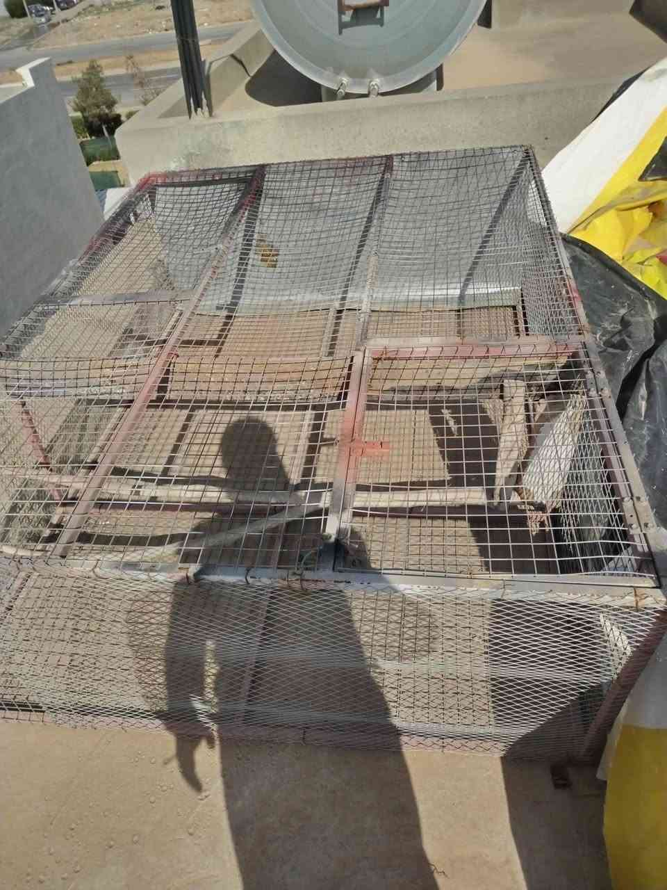 قفص طيور بغبغاء وكوكتيل حديد طول مترين عرض متر ونص نزل 60 سويتو بيدي مكلفني 120 الف ادفع سعر واخذه


**إذا كنت صاحب هذا الإعلان وتريد حذفه لأي سبب، رجاءا أرسل رسالة إلى الدعم الفني**