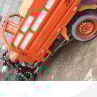 ٢٠٢٠ • أوراق كاملة • بصرة كرمة