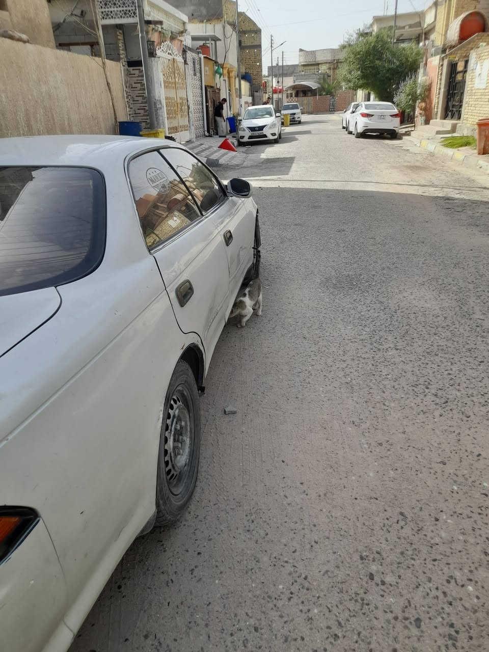 السلام عليكم مارك نقل كير محرك حلوات رقم بغداد سنويه بشهر السادس تخلص راعيهه بالنجف يريدتحويل بيهه نواقص قليله ٢٨ سعرها ***********
