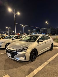 النترا ٢٠١٩ • رقم بابل • كربلاء